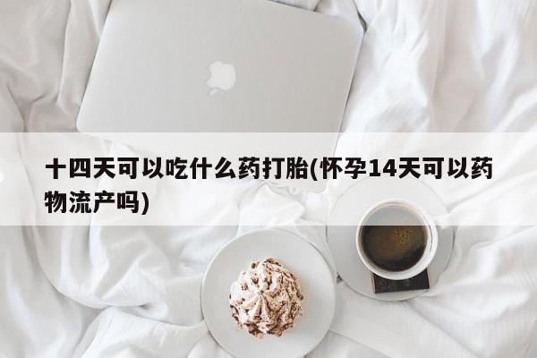 买打胎药米非司酮片流产药微信买十四天可以吃什么药打胎(怀孕14天可以药物流产吗)